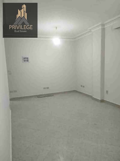 شقة 2 غرفة نوم للايجار في المعادي، القاهرة - 1000222147. jpg شقة 2 غرفة نوم للايجار في المعادي، القاهرة - 1000222147. jpg