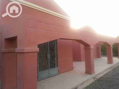 فیلا 3 غرف نوم للبيع في 6 أكتوبر، الجيزة - 1000162199. jpg