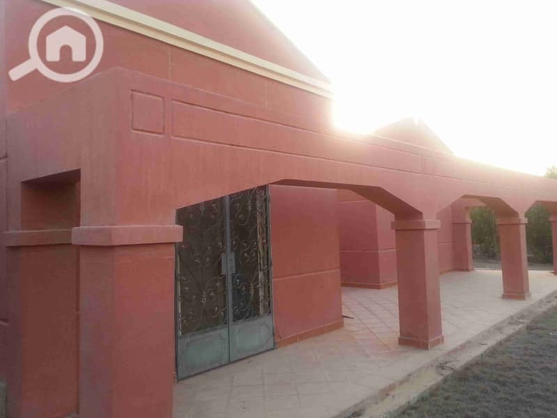 1000162199. jpg 1000162199. jpg