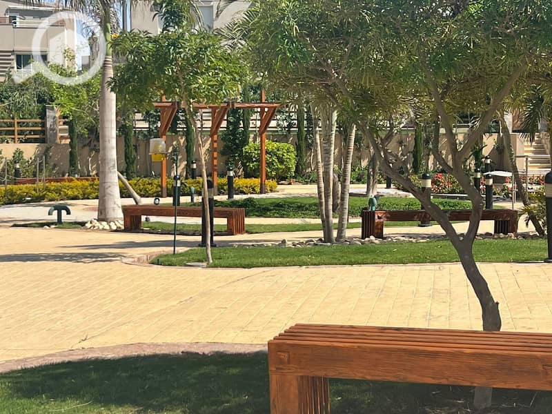 3 2c924d16-dc1d-4a47-803d-f0be5f962987. jpg