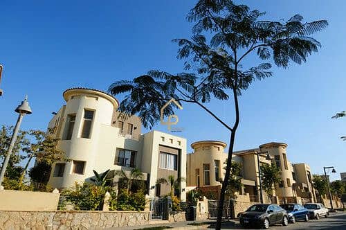 4 medium_nD9kQGtI8TyIFsW5vTww3fk9zUlRMi. jpg