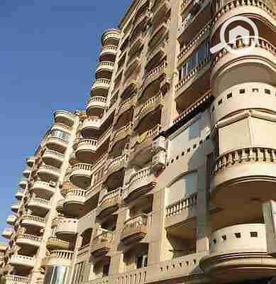 IMG_٢٠٢٥١١١٣_١٠٥٤٥٨. jpg