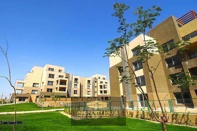 9 PHOTO-2024-05-30-11-58-00 (4). jpg