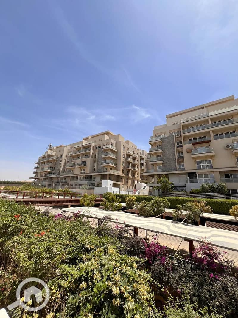 6 ca125905-41d5-4e26-b37c-537173b7f0a4. jpg