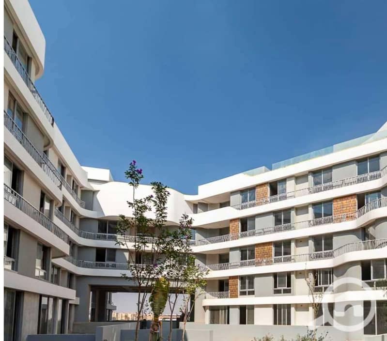 4 87deb694-f611-490b-94e7-d52ca707e98f. jpg