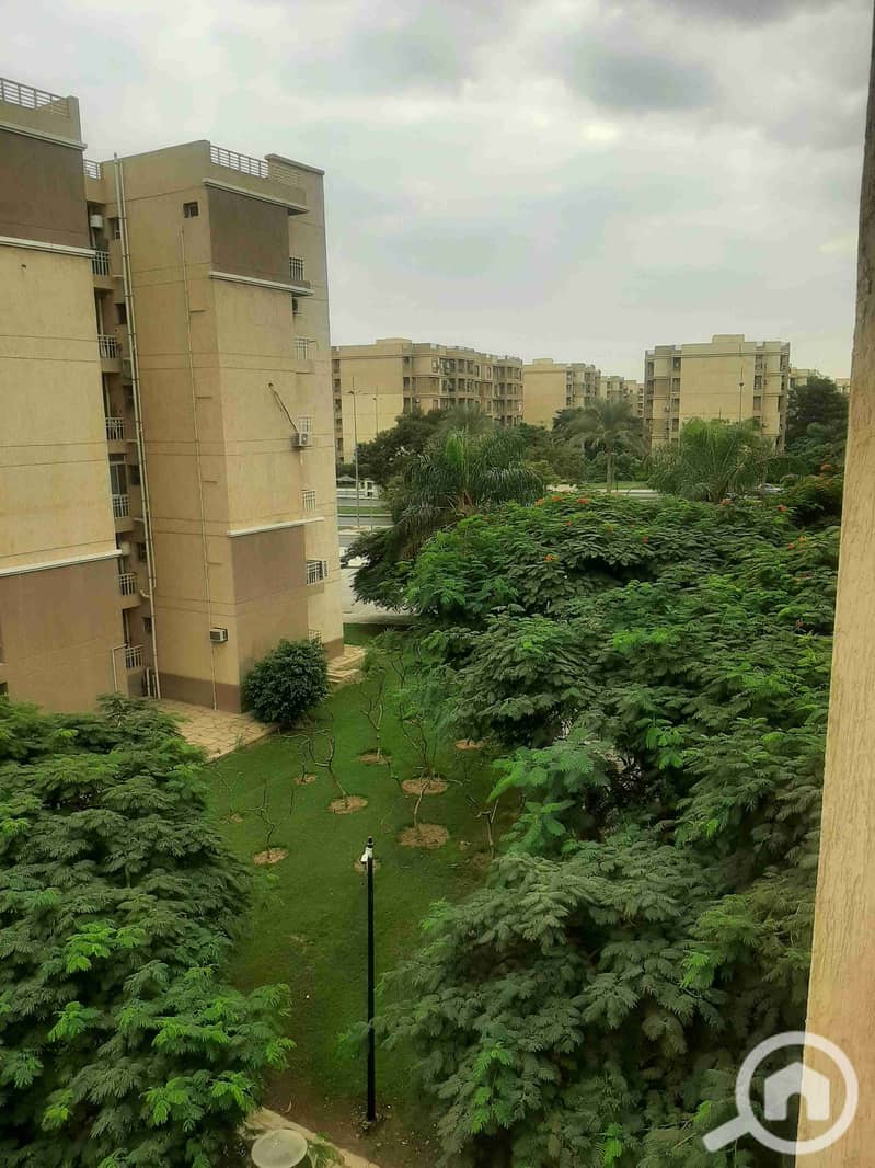 ٢٠٢٥١٠١١_١٥٠١٣١. jpg ٢٠٢٥١٠١١_١٥٠١٣١. jpg