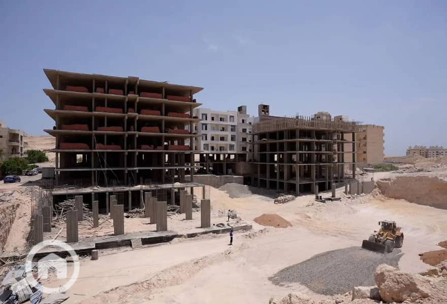 7 7901535-76eeao. jpg