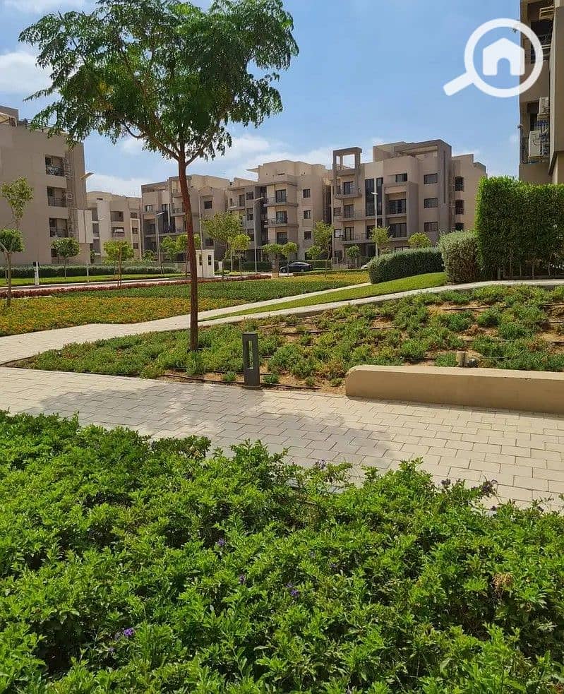 6 156739141-800x600. jpg