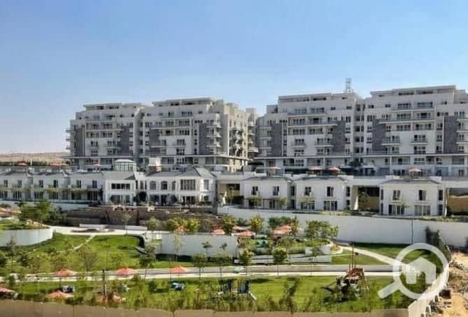 3 3844321-87378o. jpg