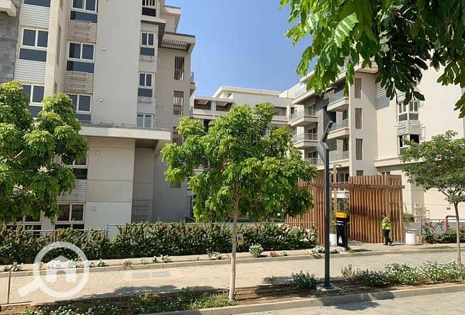 5 3844321-85a4co. jpg