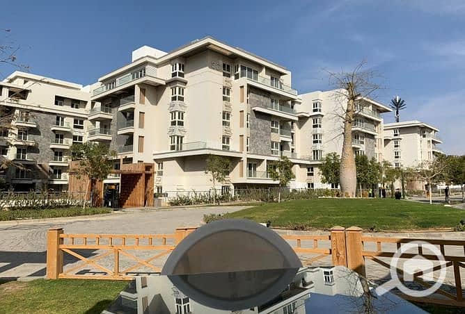 7 3844321-5f5ffo. jpg