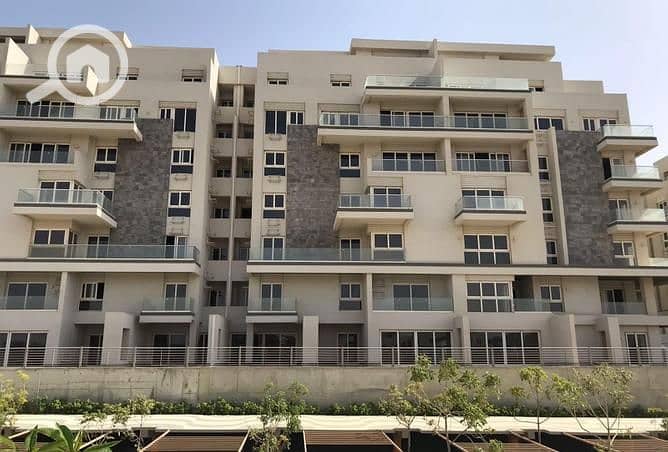 8 3844321-5ae92o. jpg