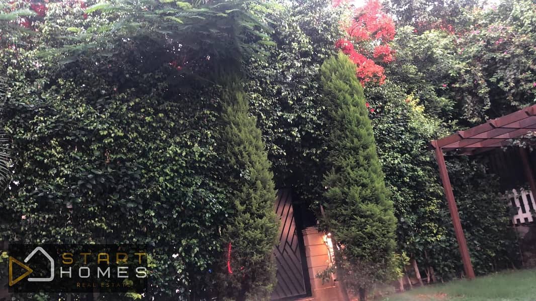 3 WhatsApp Image 2025-11-13 at 11.14. 28 AM. jpeg