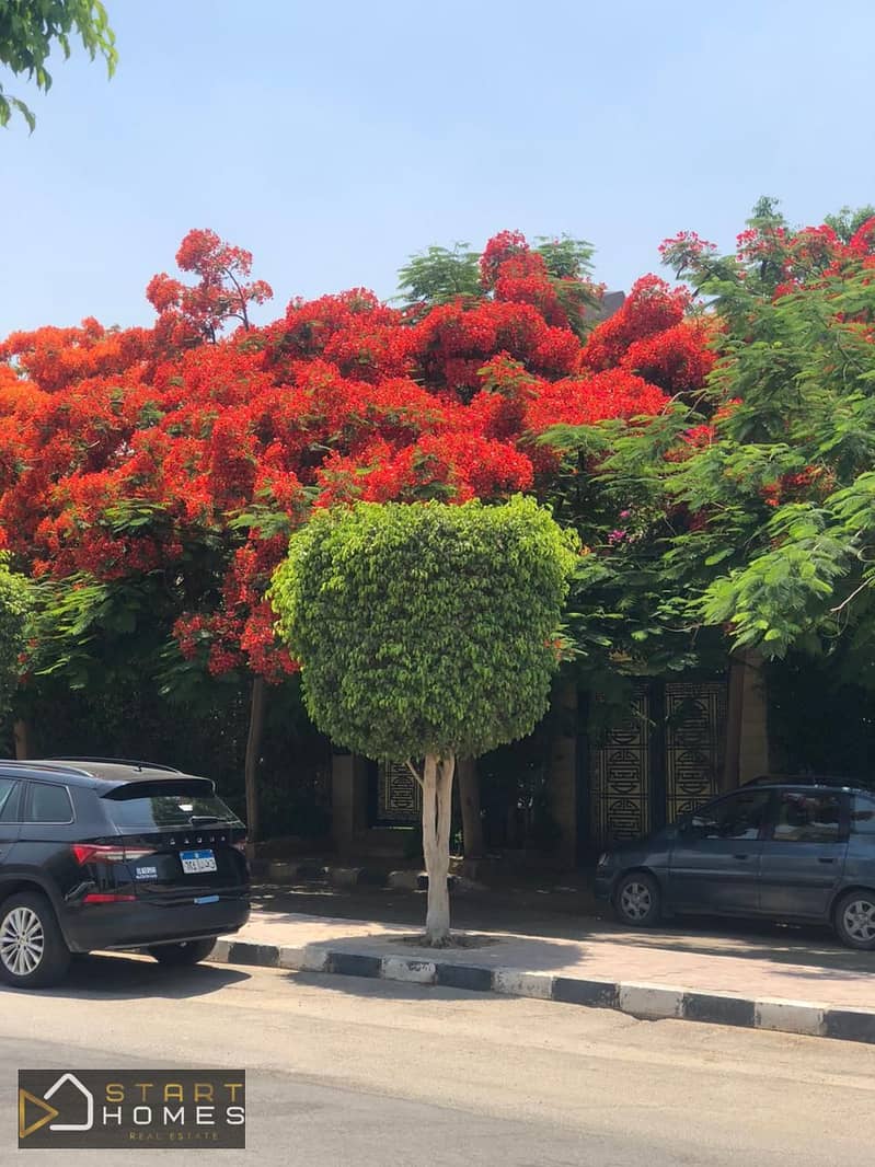 4 WhatsApp Image 2025-11-13 at 11.14. 37 AM (1). jpeg