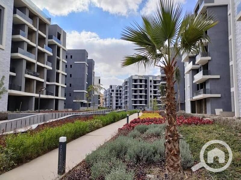 2 3508564-85083o. jpg