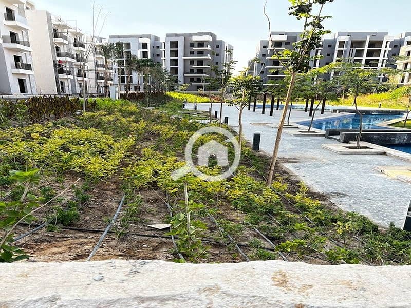 3 2023-04-04 (2). jpg