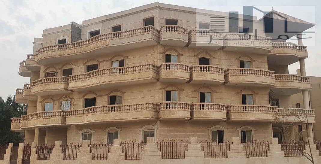 3 WhatsApp Image 2025-01-14 at 16.36. 27_f7673325. jpg