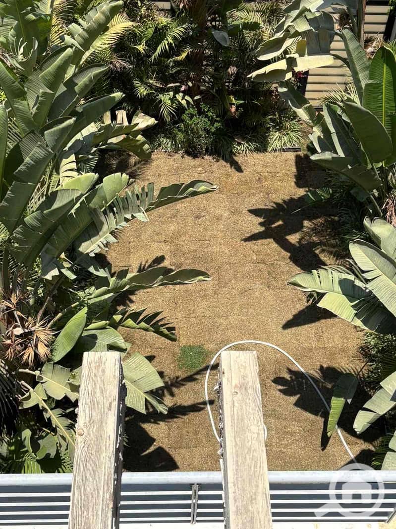 5 08a97e0e-f7b6-42e1-afde-ec47002fb698. jpg