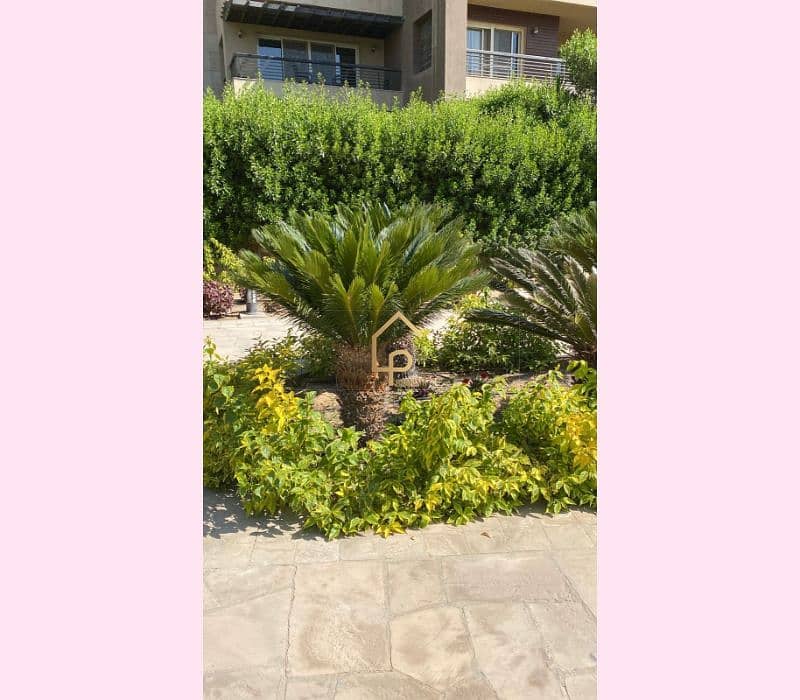 12 WhatsApp Image 2025-11-05 at 3.34. 52 PM (1). jpg