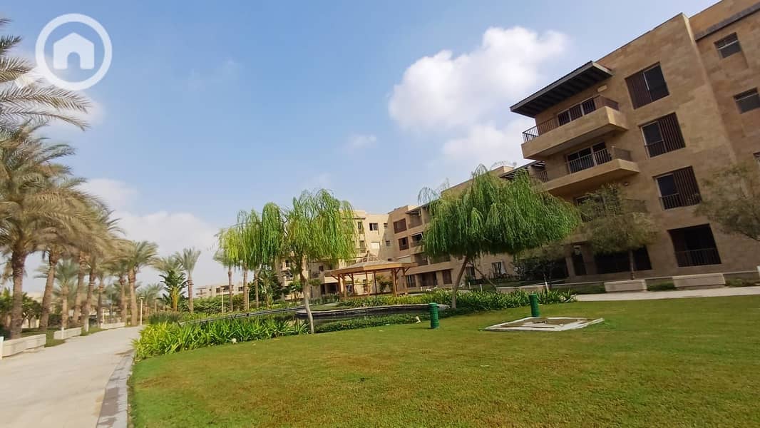 5 41353022-c673-4c94-af61-a3555fa555be. jpg