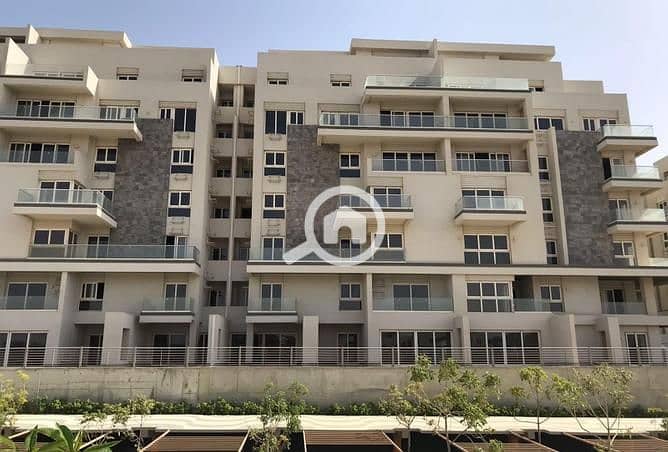 12 3844321-5ae92o. jpg