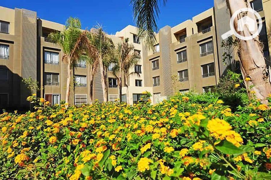 5 IMG-20241017-WA0008_900x600. jpg