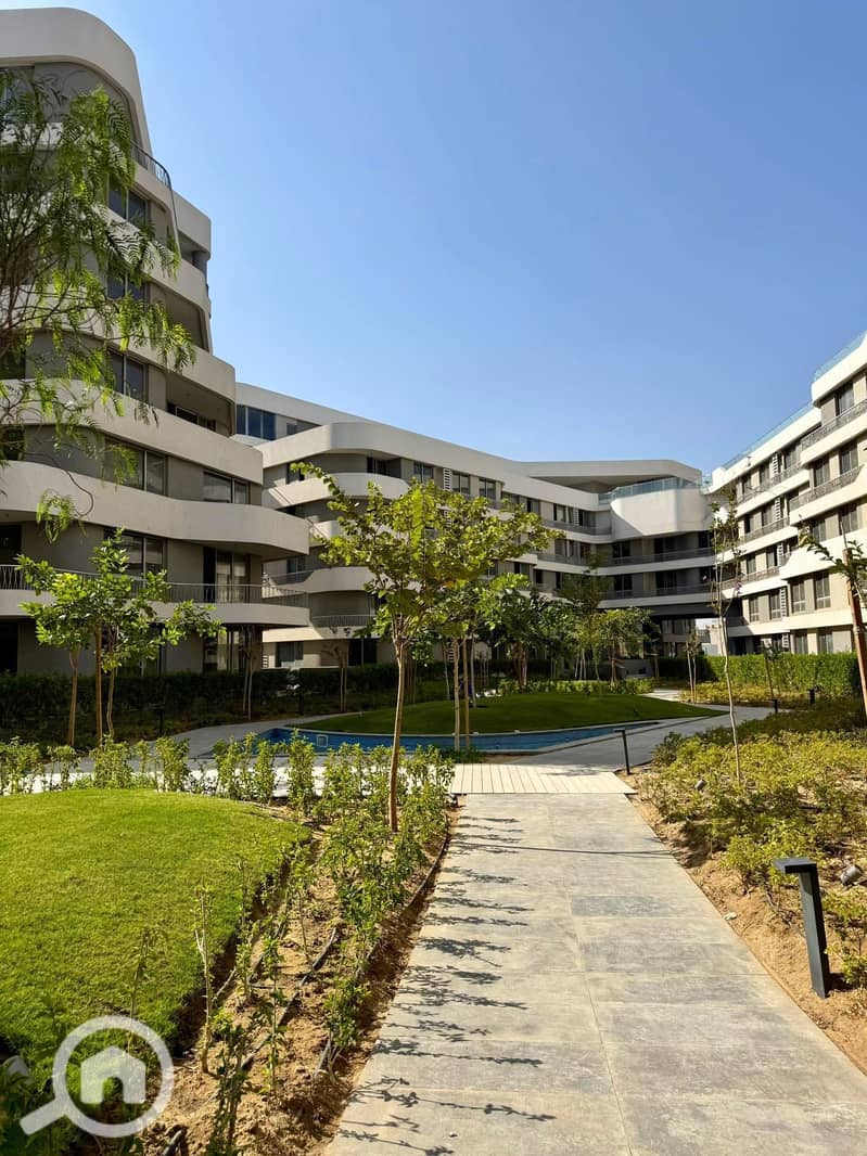 13 581108377_1399643555053729_8906425873741511224_n. jpg