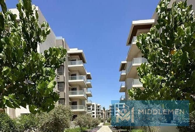 4 WhatsApp Image 2024-05-09 at 12.34. 54 PM (3). jpeg