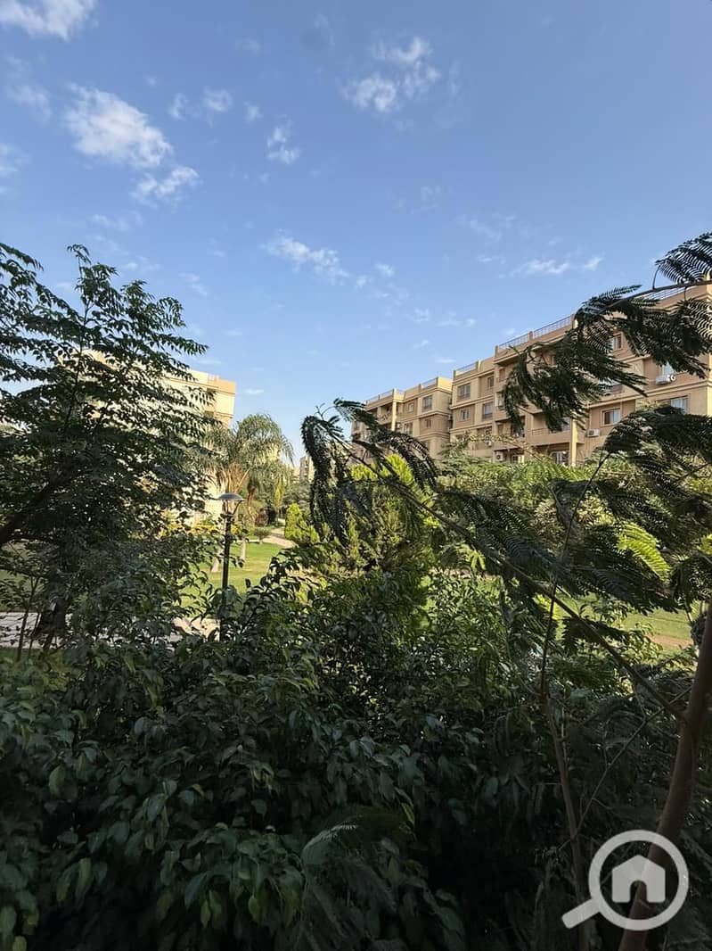 5 cd1236fc-b7f4-403d-85e7-ab1967714618. jpg