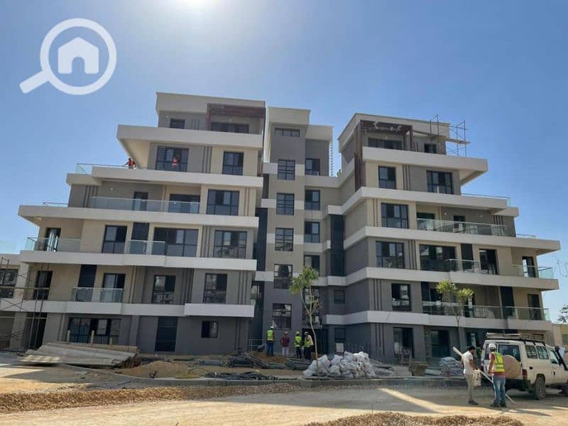 6 Untitled design (96). png