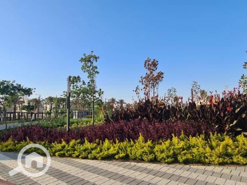 7 Untitled design (101). png