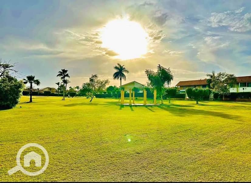 7 508475855_24379075415033143_8266574853314309006_n. jpg