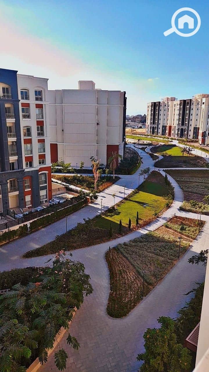 3 IMG-20251015-WA0036. jpg