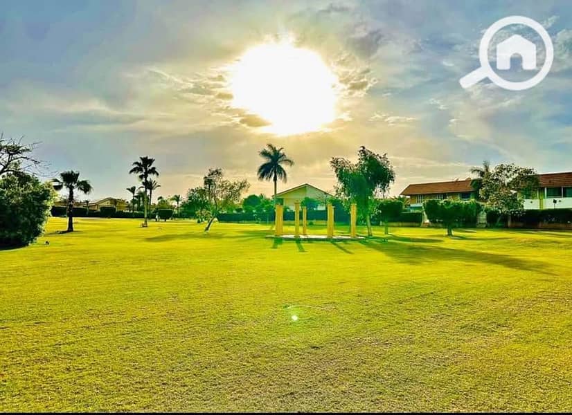 6 508475855_24379075415033143_8266574853314309006_n. jpg