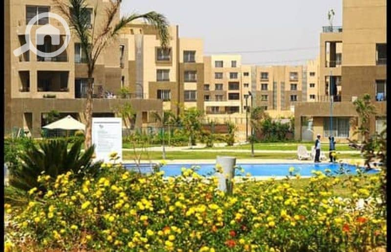 10 155045336-400x300. jpg