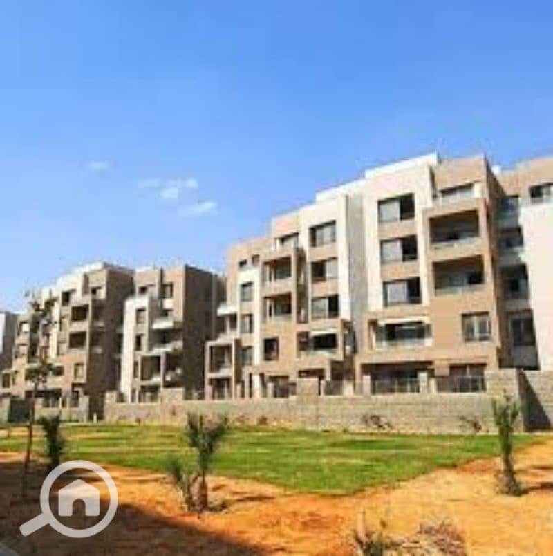 15 images (3). jfif. jpg