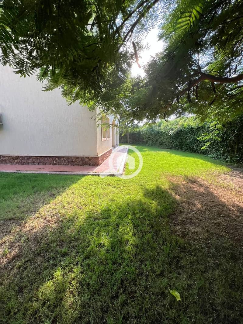 17 b53a8542-3ebb-471a-8002-b9da92c6466b. jpg