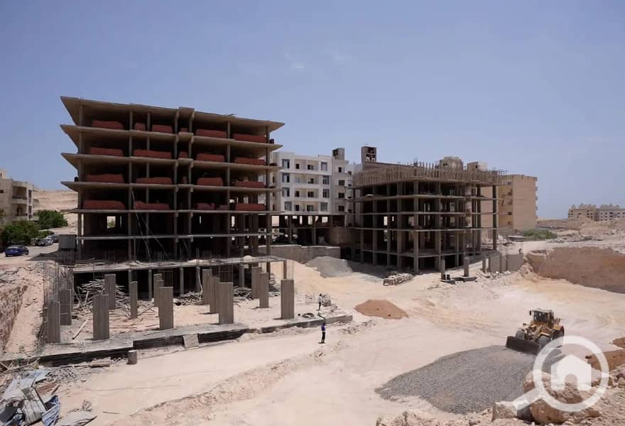 8 7901535-76eeao. jpg