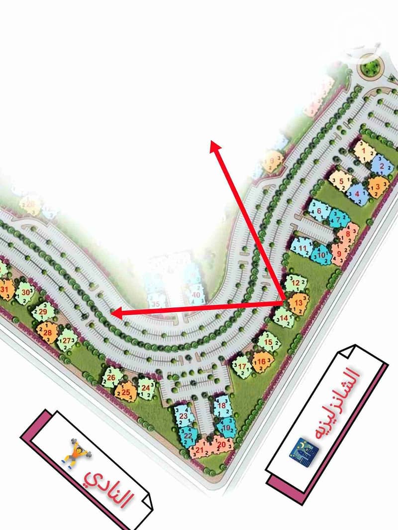 1000453681. jpg 1000453681. jpg