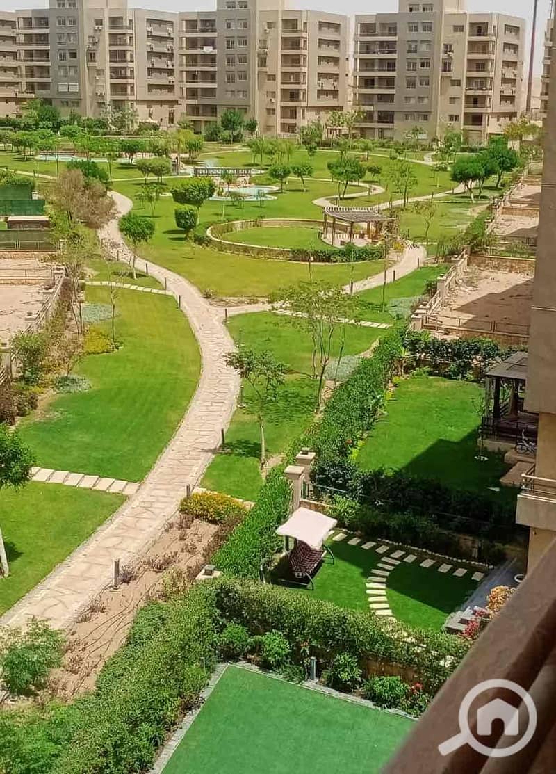 4 d1c01eda-4f83-46d5-91cc-c135aeadd9fb. jpg