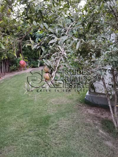 3 Bedroom Apartment for Rent in Sheikh Zayed, Giza - IMG-20250216-WA0028. jpg