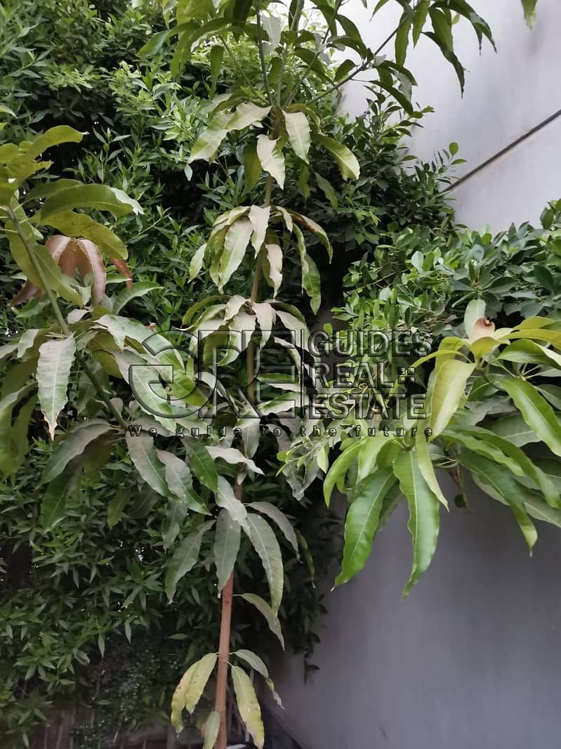 23 IMG-20250216-WA0030. jpg