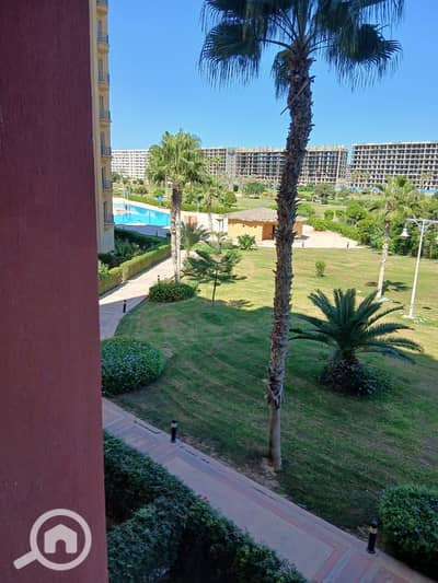 2 Bedroom Chalet for Sale in North Coast, Matruh - IMG-20251113-WA0061. jpg