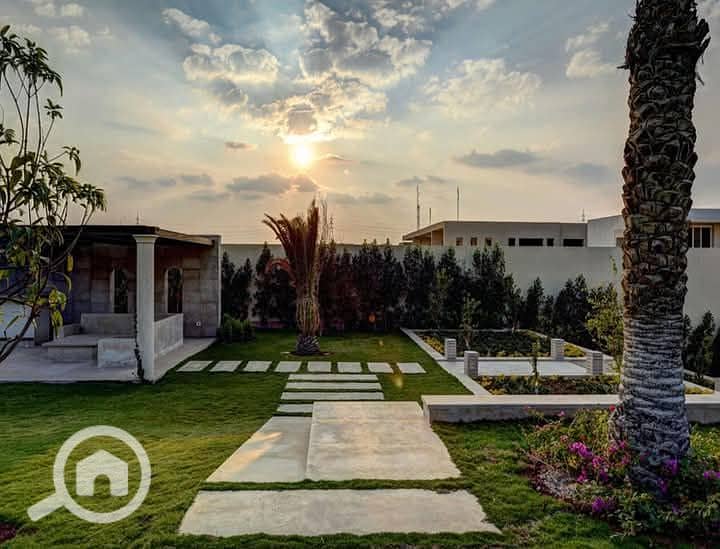 6 FB_IMG_1741514397234. jpg