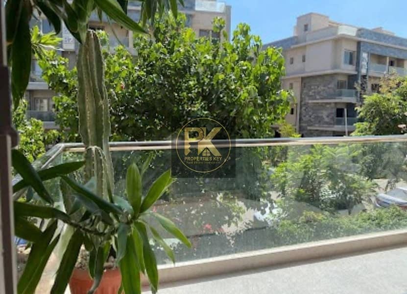 4 8A2E517C-ACC7-43C8-84CE-DD63D761B8C4. jpeg