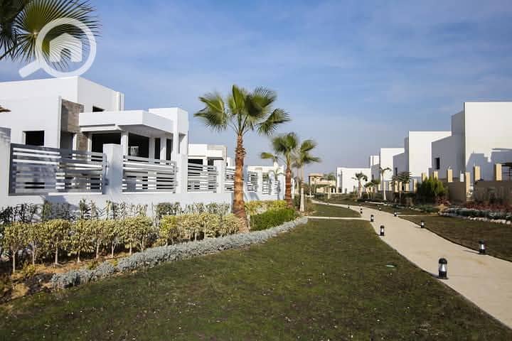 3 FB_IMG_1747484213779. jpg