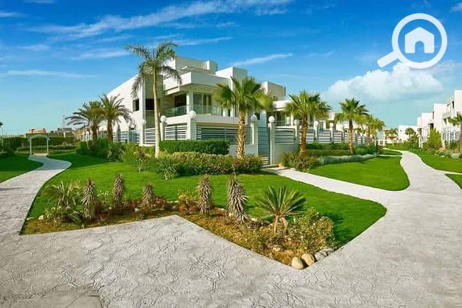 8 FB_IMG_1740236164470_900x600. jpg