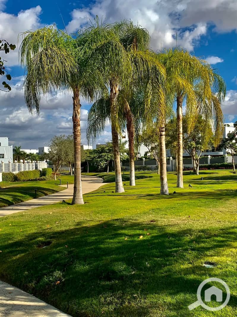 9 FB_IMG_1751897931758. jpg