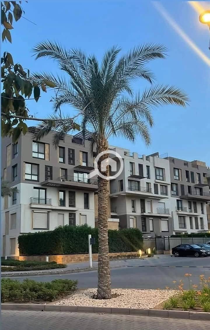 546860815_122156159996782987_1467054621376782063_n. jpg 546860815_122156159996782987_1467054621376782063_n. jpg