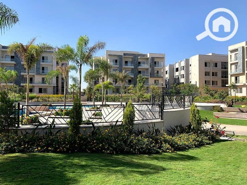 2 2020-02-07 (3). jpg